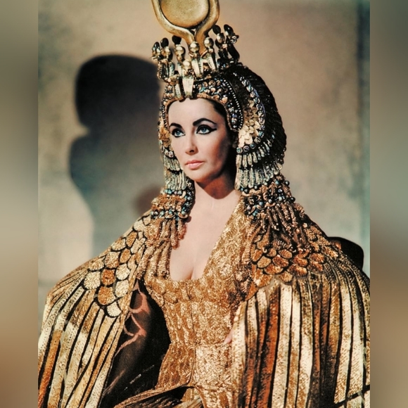 🐢 Luckytheturtle Live show listing ❤️Like to be notified❤️ - Picture 15 of 15